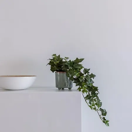 Huswell - Lovely With Lateral Sea View And Parking Lejlighed Oostende